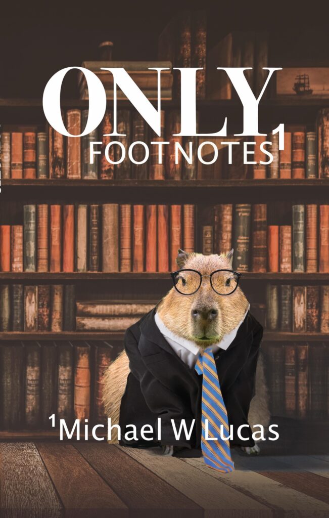 Only Footnotes Only Footnotes